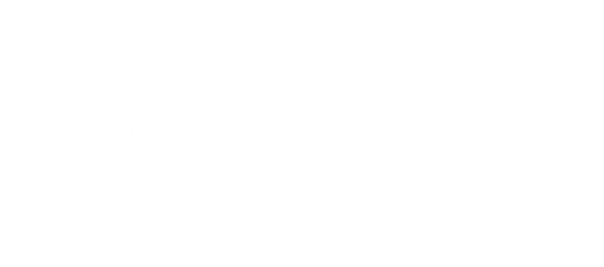 Snowfall Web Development